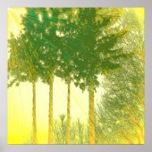 Poster Rayons d'espoir 3 arbres imprimés (Devant)