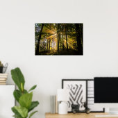 Poster Rayons ensoleillés de forêt enchantés 1 (Bureau à domicile)