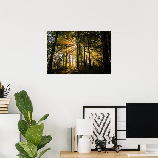 Poster Rayons ensoleillés de forêt enchantés 1 (Bureau à domicile)