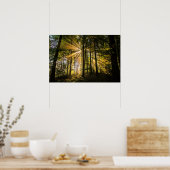 Poster Rayons ensoleillés de forêt enchantés 1 (Cuisine)
