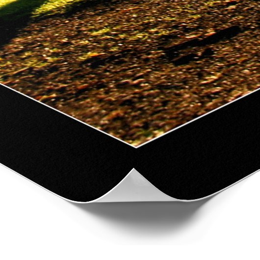 Poster Rayons lumineux 2 (Coin)