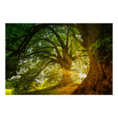 Poster rayons solaires (Devant)