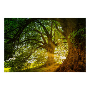 Poster rayons solaires