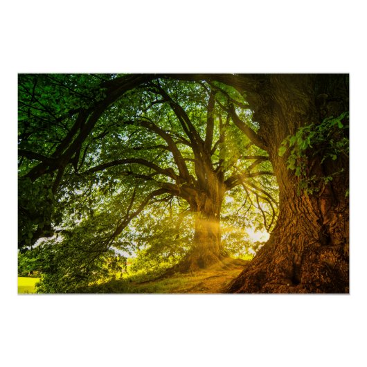 Poster rayons solaires (Devant)