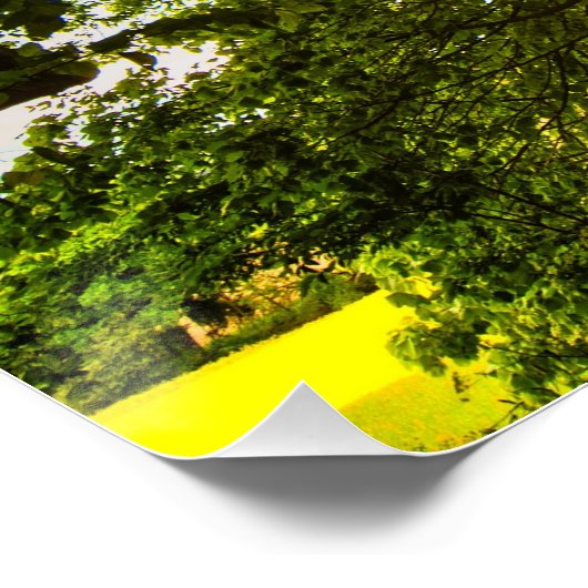 Poster rayons solaires (Coin)