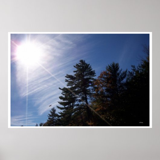 Poster Rayons solaires (Devant)