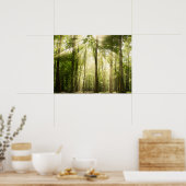 Poster Rayons Solaires À Travers Les Treétops (Cuisine)