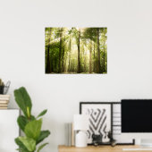 Poster Rayons Solaires À Travers Les Treétops (Bureau à domicile)