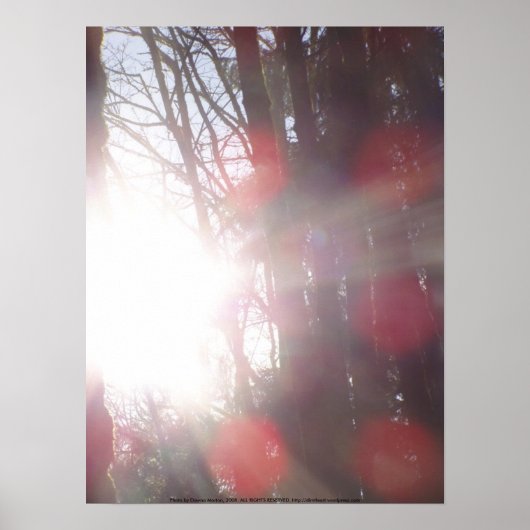 Poster Rayons Solaires Tôt Le Matin #28 (Devant)