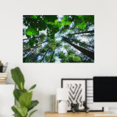 Poster Reach for the Sky Tree Photograph (Bureau à domicile)
