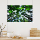 Poster Reach for the Sky Tree Photograph (Cuisine)