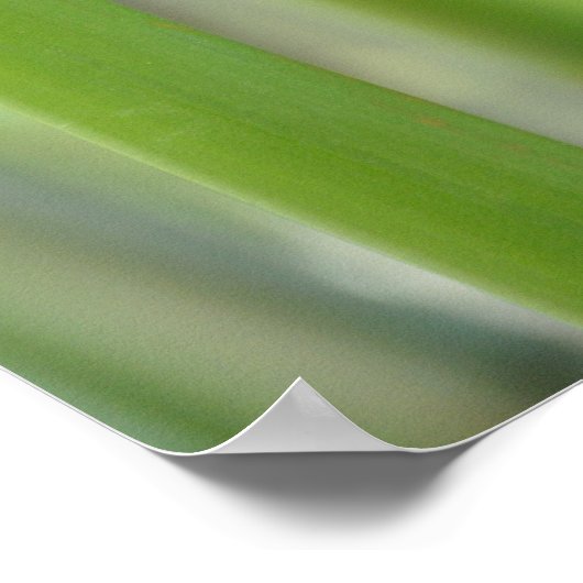 Poster Reaching Out (Coin)