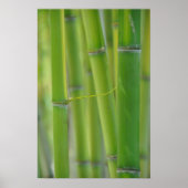 Poster Reaching Out (Devant)