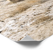 Poster réaction des soldats à une attaque aux armes légèr (Coin)