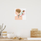 Poster Réaction négative sur l'axe thyroïdien hypophysair (Cuisine)