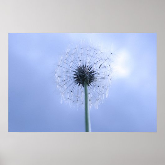 Poster Réaliser les voeux (Devant)