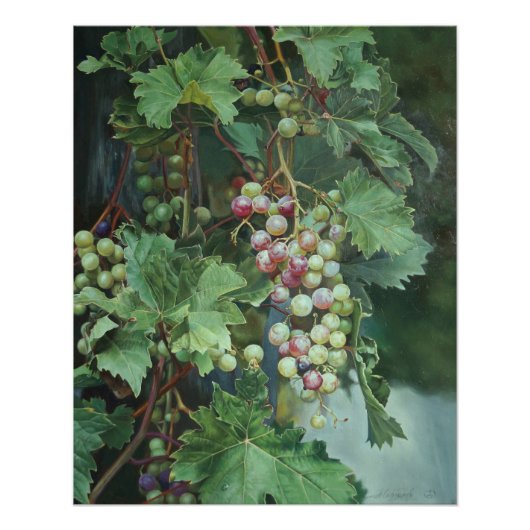 Poster Realistic Grape Vine with Leaves – Fine Art (Devant)