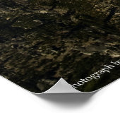 Poster Rebirth Print (Coin)