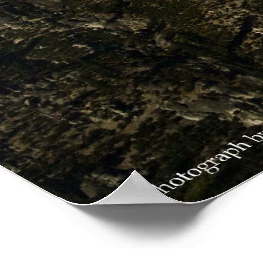 Poster Rebirth Print (Coin)