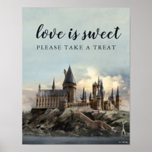 Poster Réception De Mariage Harry Potter S'Il Vous Plaît 