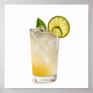 Poster Recette Gin Fizz