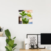Poster Recette Mojito (Bureau à domicile)