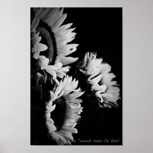 Poster Recherche