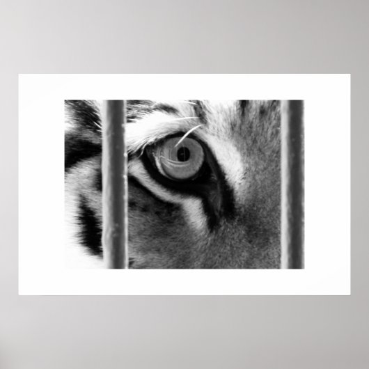 Poster recherche (Devant)