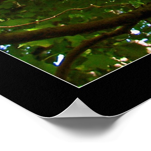 Poster Recherche (Coin)