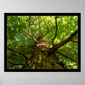 Poster Recherche (Devant)