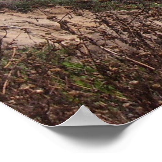 Poster Recherche à partir du chemin (Del Mar) (Coin)