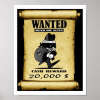 Poster Recherché Chat Mort Ou Vivant
