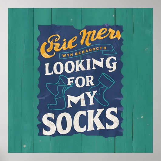 Poster Recherche De Chaussettes (Devant)