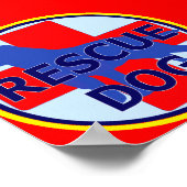 POSTER RECHERCHE ET RÉCUPÉRATION CHIEN SARDA (Coin)