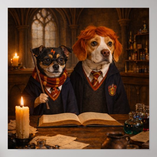 Poster "Recherche Magique" (Devant)