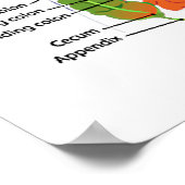 Poster Recherché : Un Monde Rempli De Guts (Guts Anatomiq (Coin)