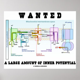 Poster Recherché Une Grande Quantité De Potentiel Intérie