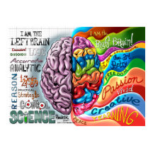 Poster rechter hersenhelft links