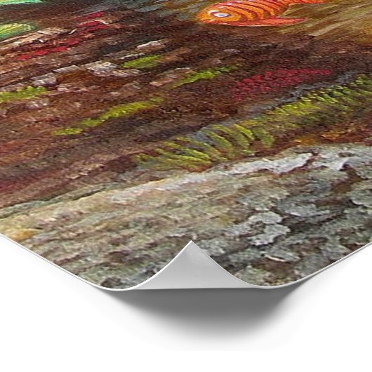 POSTER "RÉCIF DE PARROT" (Coin)