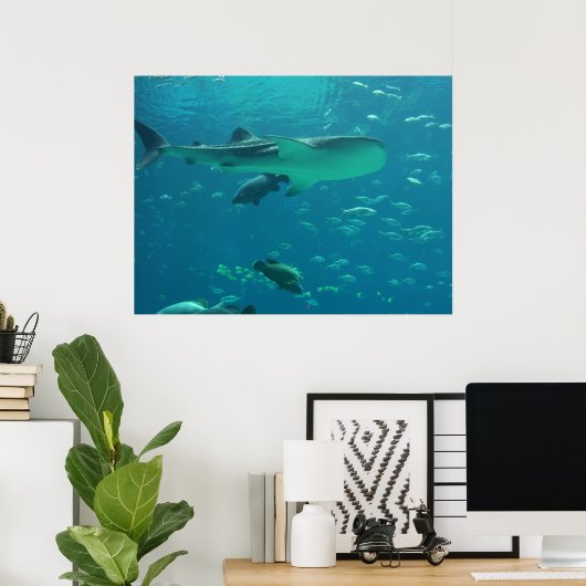 Poster récif de requins (Bureau à domicile)