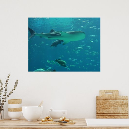 Poster récif de requins (Cuisine)