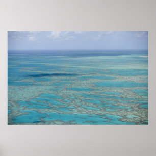 Poster Récif tropical, Grande Barrière de corail, Queensl