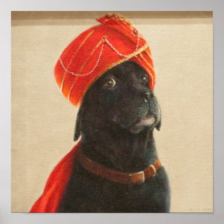 Poster Récipient Maharaja 2010