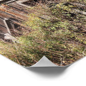 Poster Réclamé Par La Nature (Coin)