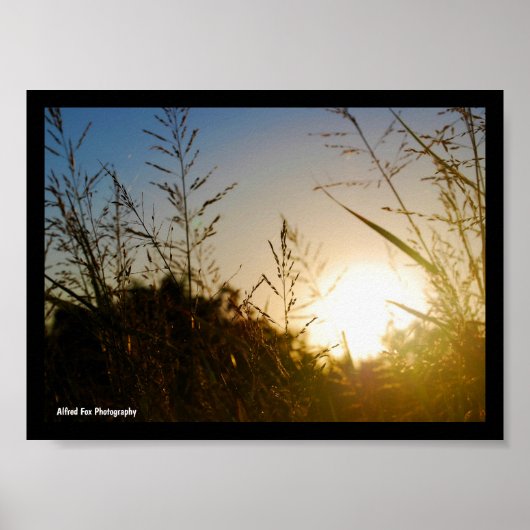 Poster Récolte au lever du soleil (Devant)