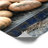 Poster Récolte citrouille Sur Camion De Récolte Automne (Coin)