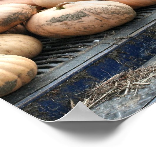 Poster Récolte citrouille Sur Camion De Récolte Automne (Coin)