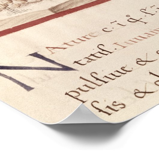 Poster Récolte d'ail (Coin)