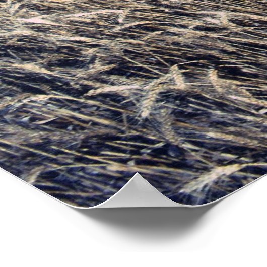 Poster Récolte de blé (Coin)