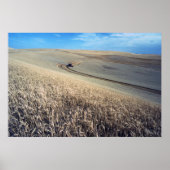 Poster Récolte de blé (Devant)